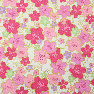 a ʍԂт召l S5F 110cm 10cmP ؂蔄