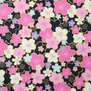 a ʍԂт召l S5F 110cm 10cmP ؂蔄