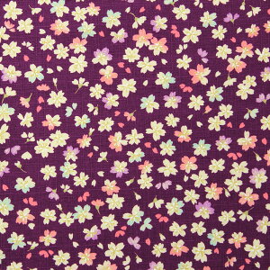 a ʍԂт當l S5F 110cm 10cmP ؂蔄