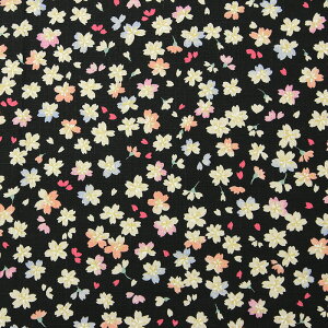 a ʍԂт當l S5F 110cm 10cmP ؂蔄