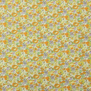 |vbv 2025ԕi_CNgbtj S4F 110cm 10cmP ؂蔄