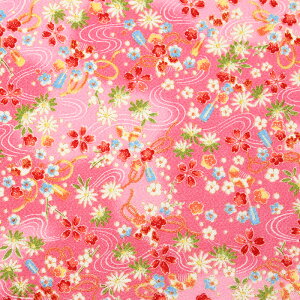 [kɋʕl [߂ʕl@ɉԂƏl S5F 70cm 10cmP ؂蔄yz n a anz