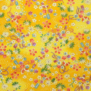 [kɋʕl [߂ʕl@ɉԂƏl S5F 70cm 10cmP ؂蔄yz n a anz