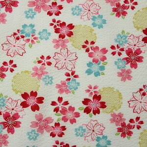 bv   TN S3F 110cm 10cmP ؂蔄