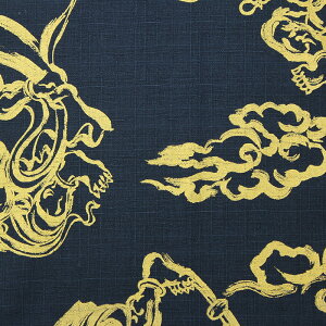 a ʕ__l S5F 110cm 10cmP ؂蔄