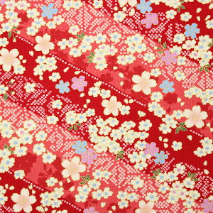 a ʎ΂ߍDcl S5F 110cm 10cmP ؂蔄