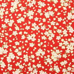 a ʍԂт當l S5F 110cm 10cmP ؂蔄