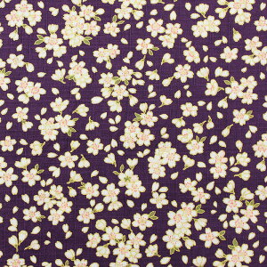 a ʍԂт當l S5F 110cm 10cmP ؂蔄