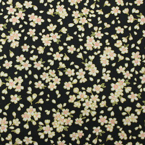 a ʍԂт當l S5F 110cm 10cmP ؂蔄