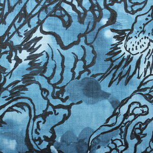 a nl S5F 110cm 10cmP ؂蔄