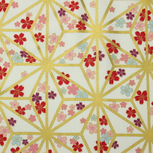 a ʖ̗tɉԕl S5F 110cm 10cmP ؂蔄