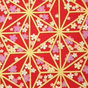 a ʖ̗tɉԕl S5F 110cm 10cmP ؂蔄