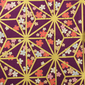 a ʖ̗tɉԕl S5F 110cm 10cmP ؂蔄