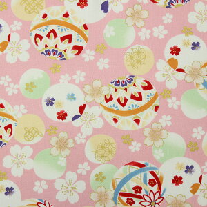 a ʟ{Ɖԕl S5F 110cm 10cmP ؂蔄