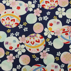 a ʟ{Ɖԕl S5F 110cm 10cmP ؂蔄