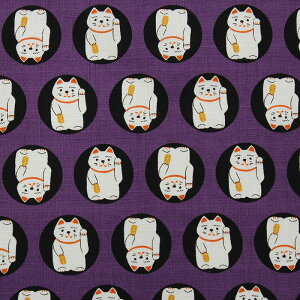 a ۂɏLl S5F 110cm 10cmP ؂蔄y1204z