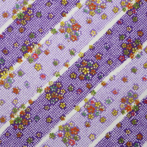 [߂ʕl ȂȂߕDciS5F 70cm 10cmP ؂蔄yz n a anz