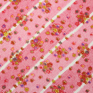 [߂ʕl ȂȂߕDciS5F 70cm 10cmP ؂蔄yz n a anz