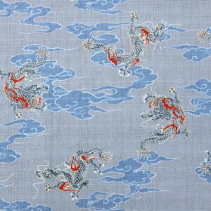 a _l S5F 110cm 10cmP ؂蔄ya z n zn anzySS5z