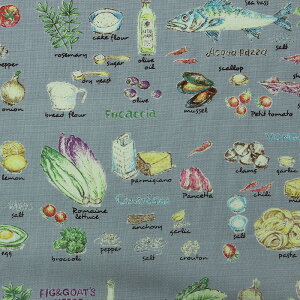 ȃLoX Vs Rbg΂₵ S5F 10cmP ؂蔄yzn@n@azySS1z