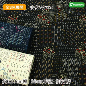 a pt iRl S3F 110cm 10cmP ؂蔄