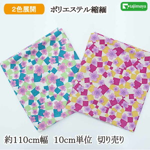 a |GXe߂vg ᕶl S2F 110cm 10cmP ؂蔄yzn n a anzyMRz