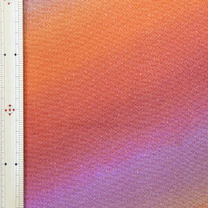 [߂@ڂl@IWn@yzn@n@a kɁ@ڂzySS1z