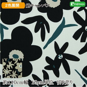 ȃLoX kԕ S2F 110cm 10cmP ؂蔄ya n zn anz
