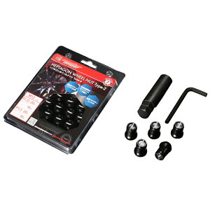 wv^SzC[ibg Type-2 20Zbg ubN M12×P1.25 XYLp X^[X|[c *^z