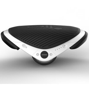 E-SkateSegwayDriftW1*送料・代引手数料無料!