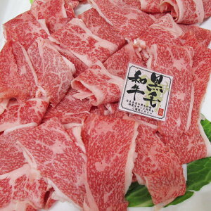 јa@؂藎Ƃ@W{pbNy800gzēEBBQEĂEԂԁE܂Ƃߔ EOEW{Ep[eB[