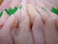 新鮮！国産鶏ささみ1パック【約200g】●鍋 から揚げ 焼き鳥 ●