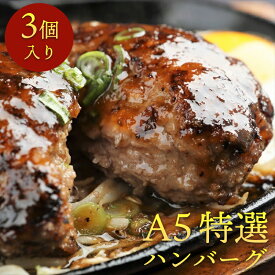 A5特選プレミアムハンバーグ【3個セット】（1個 約140g）●贈答 お祝い 内祝い 誕生日 ご褒美 肉 退職祝い 贈り物 ギフト プレゼント お取り寄せグルメ おうち焼肉 焼肉 イベント パーティー 食欲の秋 肉グルメ●