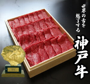 yMtgpz_ˋiɌYjԐgē500g y؁zyXIXXzyVׁzi p Mtg gift _˃r[t _˓ kobebeef  ē јao[xL[ BBQ SĂ