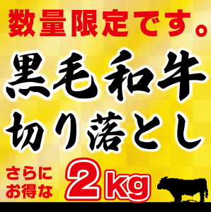  yAzјa 2kg ؂藎Ƃ@iYjɂ2kg i250g×8jŕ֗ ؗ ؂藎 󂠂 Y  uߕ Sē Ⴊ 芪i ǂ 