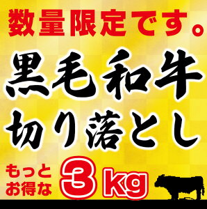  yAzјa 3kg ؂藎Ƃ@iYjƂ3kg i250g×12j ŕ֗ ؗ ؂藎 󂠂 Y  uߕ Sē Ⴊ 芪i ǂ 