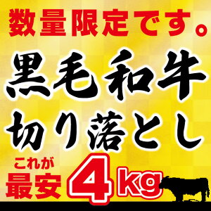  yAzјa 4kg ؂藎Ƃ@iYjꂪňl 4kg i250g×16j ŕ֗ ؗ ؂藎 󂠂 Y  uߕ Sē Ⴊ 芪i ǂ 