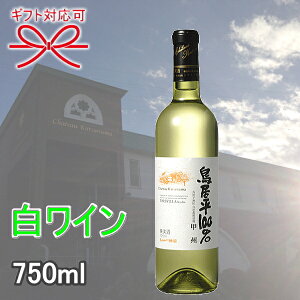 Kiy{C Vg[z C hw Vg[ 100bB 750ml Ȃ x̓ ̓ hV̓ җj av[g䒆  c 