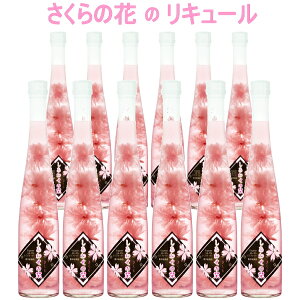 Kiyt[L[z̉ LK w 킹̞x  375mlȂ×12{xt Ԍ CƃEHbJx[X t[o[ Hp GfBut[  I