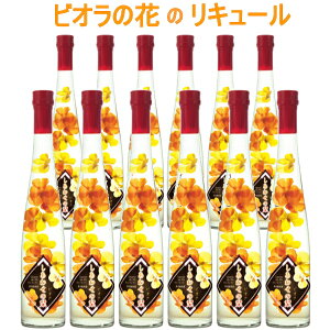 Kiyt[L[zBỈ LK w킹̞x rI 375mlȂ×12{xt Ԍ CƃEHbJx[X t[o[ Hp GfBut[ 