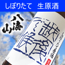 【2018年10月下旬出荷予定!】【日本酒】新酒『八海山 越後で候 「青越後」 』しぼりたて生原酒 1.8L 八海醸造・青ラベル・搾りたて生原酒・冷酒新潟県南魚...