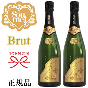 yKiSoumeiVpzBRUT GOLD w \EC ubg S[h 750ml×2{Zbg x JbgőɂI a o[Xf[ a a JXj NLO Vp^[ 