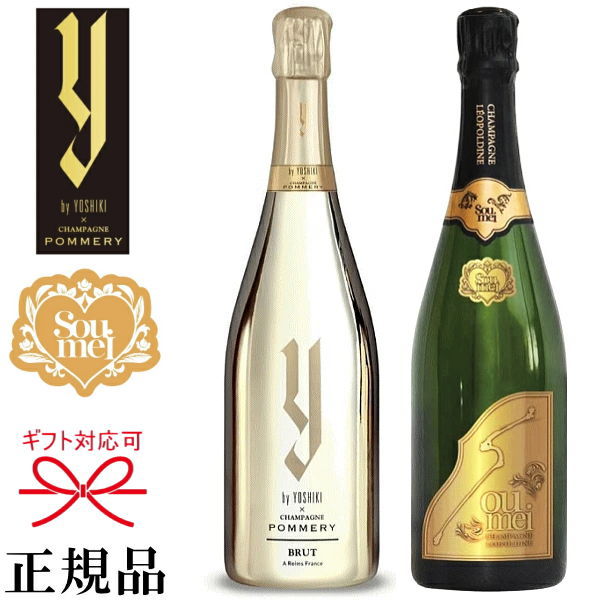 Y by YOSHIKI シャンパン POMMERY 750ml × 1本-