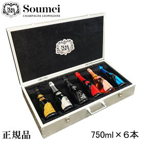 【正規品ソウメイシャンパン】コンプリート6種アタッシュケース入※お支払方法は（カード決済 or 銀行振込）のみです。『 Soumei ル・セクストゥール 750ml×6本セット 』ゴールド ピンク ブルー プラチナ ブラック レッド