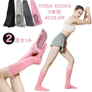 2Zbg fB[X K\bNX@ܖ{w N[ \bNX ~ C KEFA zbg  seBX  g[jO YOGA _X X|[c tBbglX Mtg v[