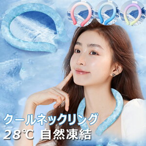 X[p[Z[EN[|菋΍ObY N[lbNO 28 R lbNN[[ ACX N[O | p JԂgp\ ⊴ IWi CbNAbV