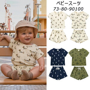 2_Zbg q ZbgAbv  ㉺Zbg tVc Vbgpc xr[ j̎q ̎q n pW}  gbvX Y{ ؍ pc  lC V oYj a v