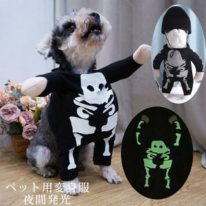 nEB ߑ ybg    RXv nEB ߑ RX`[ ̕ ybg 킢 [ H    L gCv[h lC IV ` ^ nEB RXv 