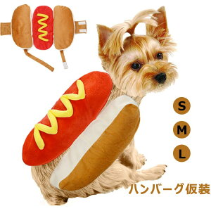    ^ zbghbO ϑ ybgEFA U  H~  xXg hbOEFA іh~ ybg  L p ybgpi pRX`[ ̕ nEB 