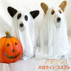 nEB RXv  L ybg H  S }g P[v RX`[ ߑ @g   hbOEGA  ybgEGA ΂  ϑ ϐg ObY 킢